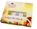Ampullen Weihnachtsbox